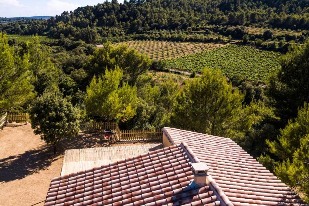 L'Arbre à soleil Villa Aigues-Vives  Eksteriør billede