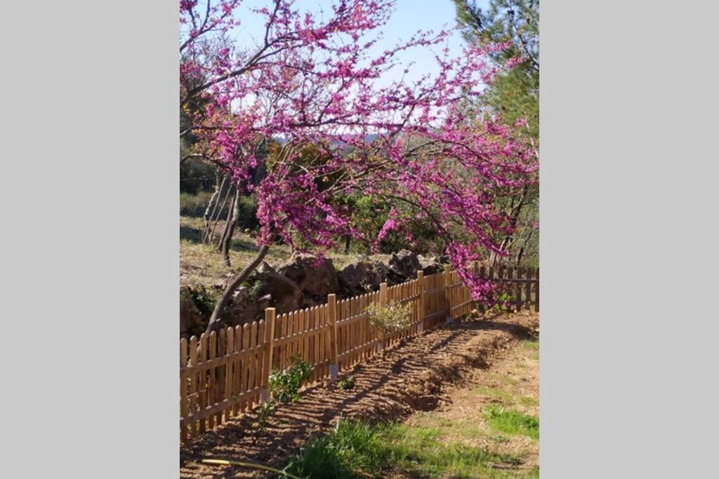 L'Arbre à soleil Villa Aigues-Vives  Eksteriør billede