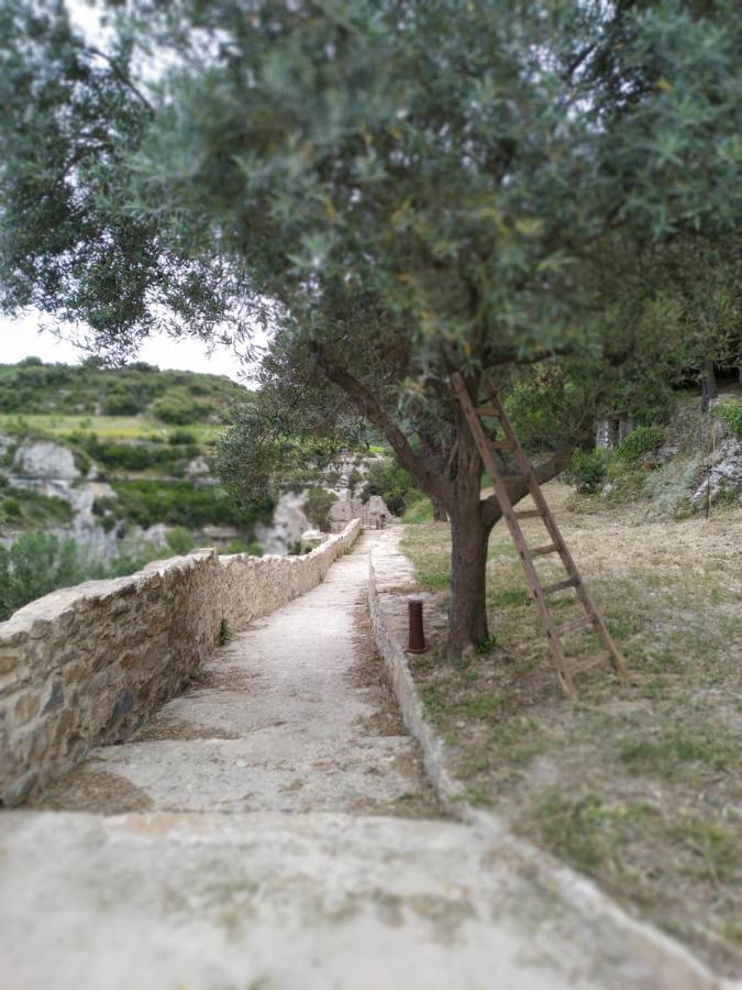 L'Arbre à soleil Villa Aigues-Vives  Eksteriør billede